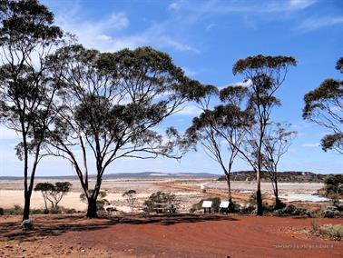 Cherry Island in Lake Cowan, Norseman, Western Australia